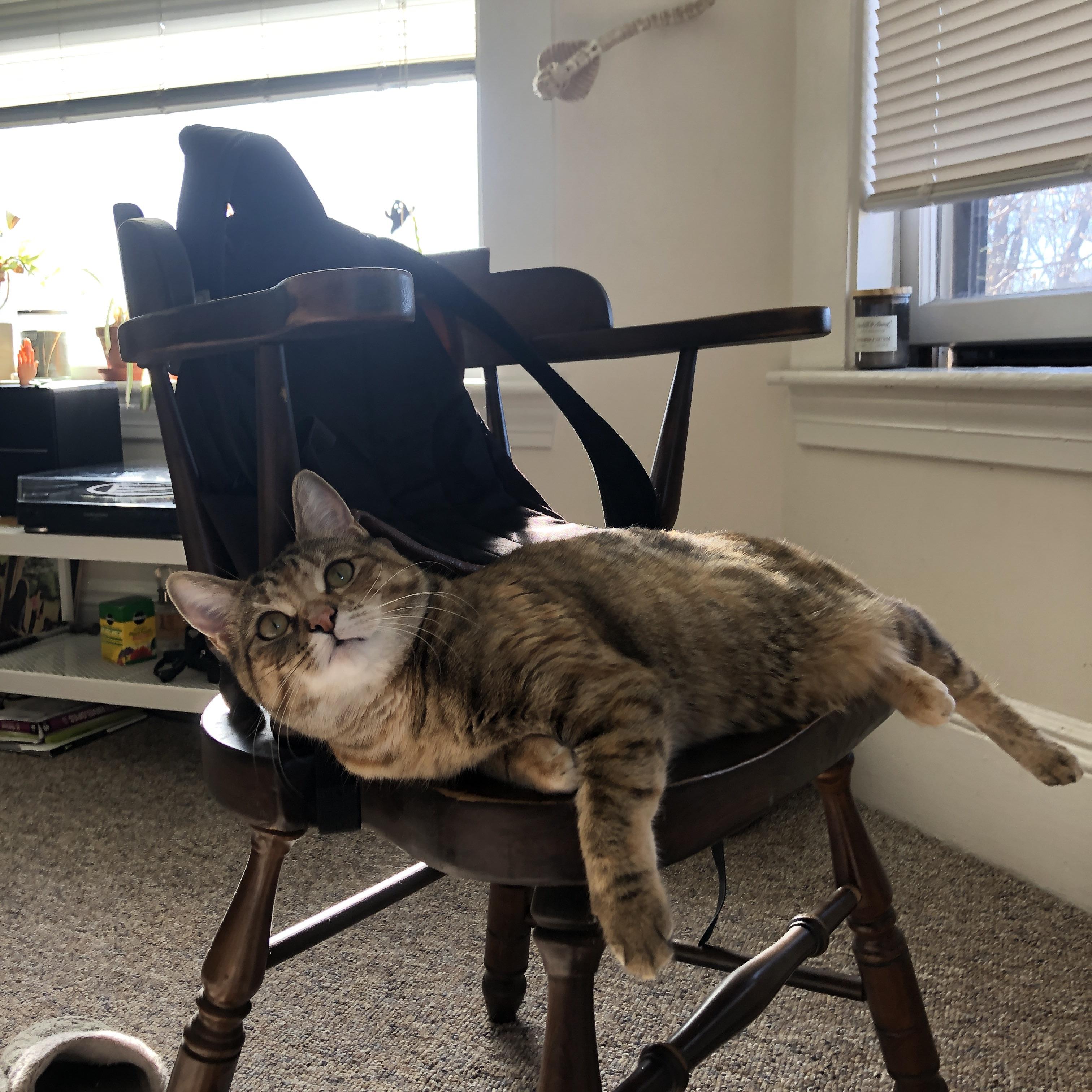 熊猫体育在线登录-篮球世界杯预选赛中国队精彩表现获关注，篮球世界杯预选赛分组