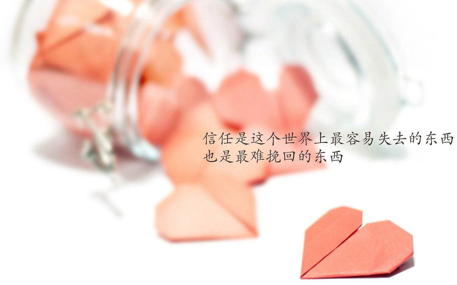 熊猫直播-菲律宾跆拳道选手帕特里克·佩雷兹夺得首枚奖牌，社交媒体热烈祝贺。