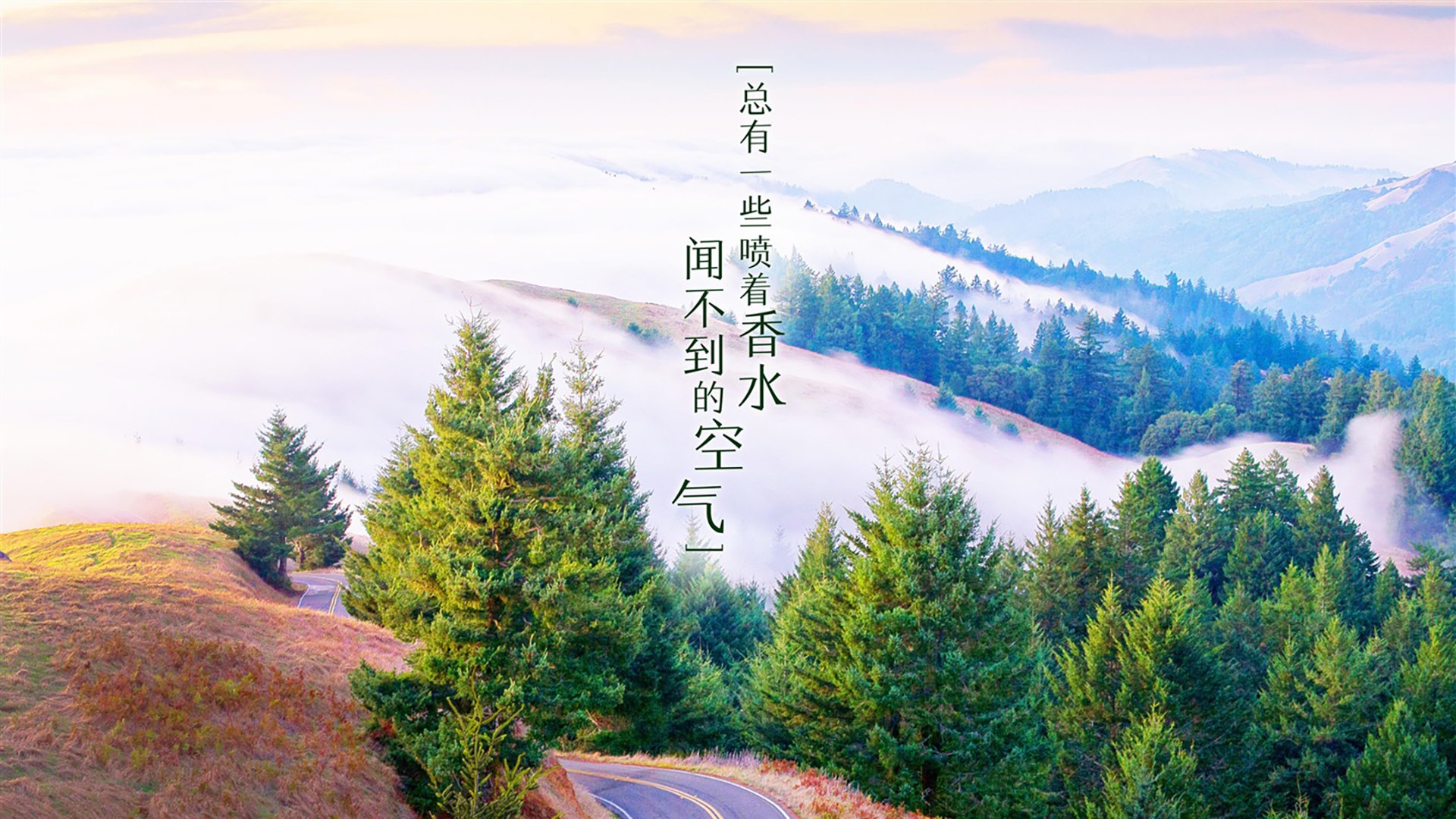 2024全国围棋协会联谊赛在贵阳圆满落幕，全国围棋比赛时间
