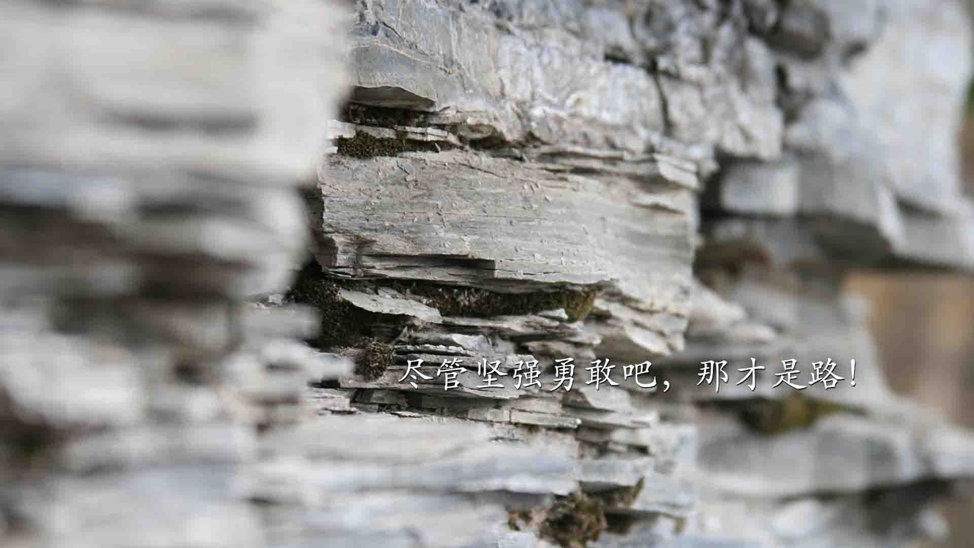 国际米兰遭遇AC米兰逆转，惨遭败绩，国际米兰ac米兰比分预测