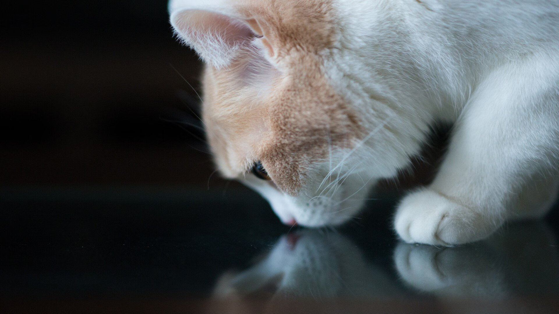 熊猫体育app官网-横滨水手客场表现提升，横滨水手今天比赛