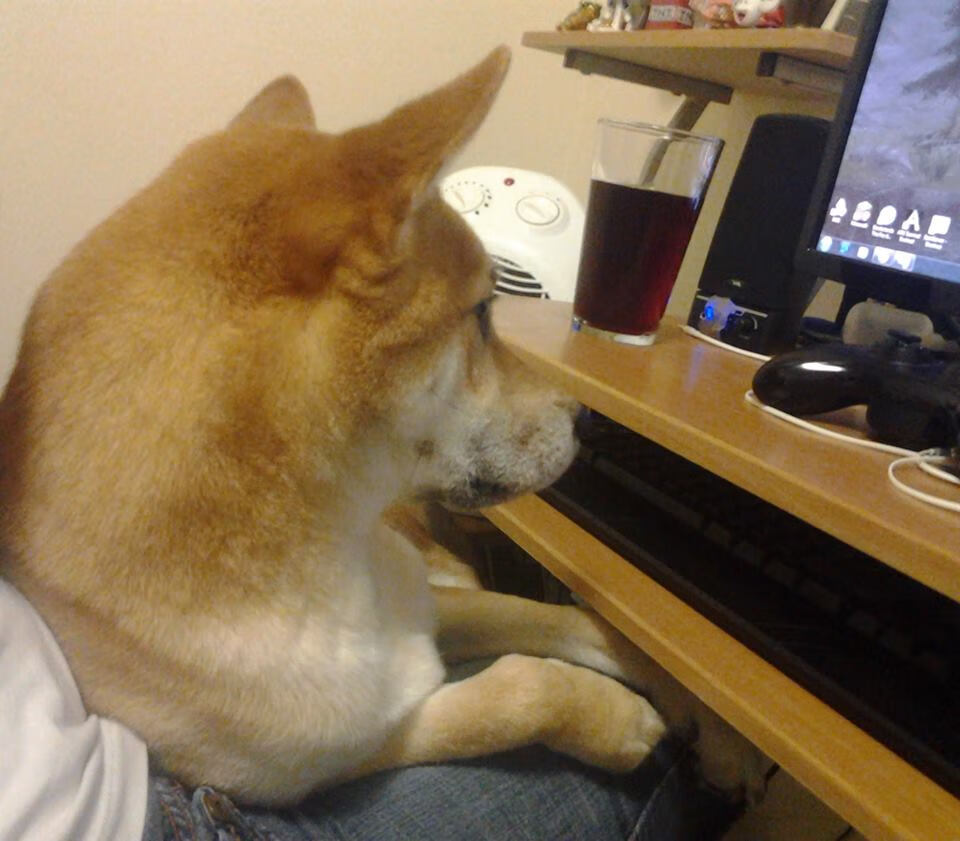 熊猫体育官网-詹姆斯爆发湖人横扫热火，詹姆斯爆发湖人横扫热火是哪一年