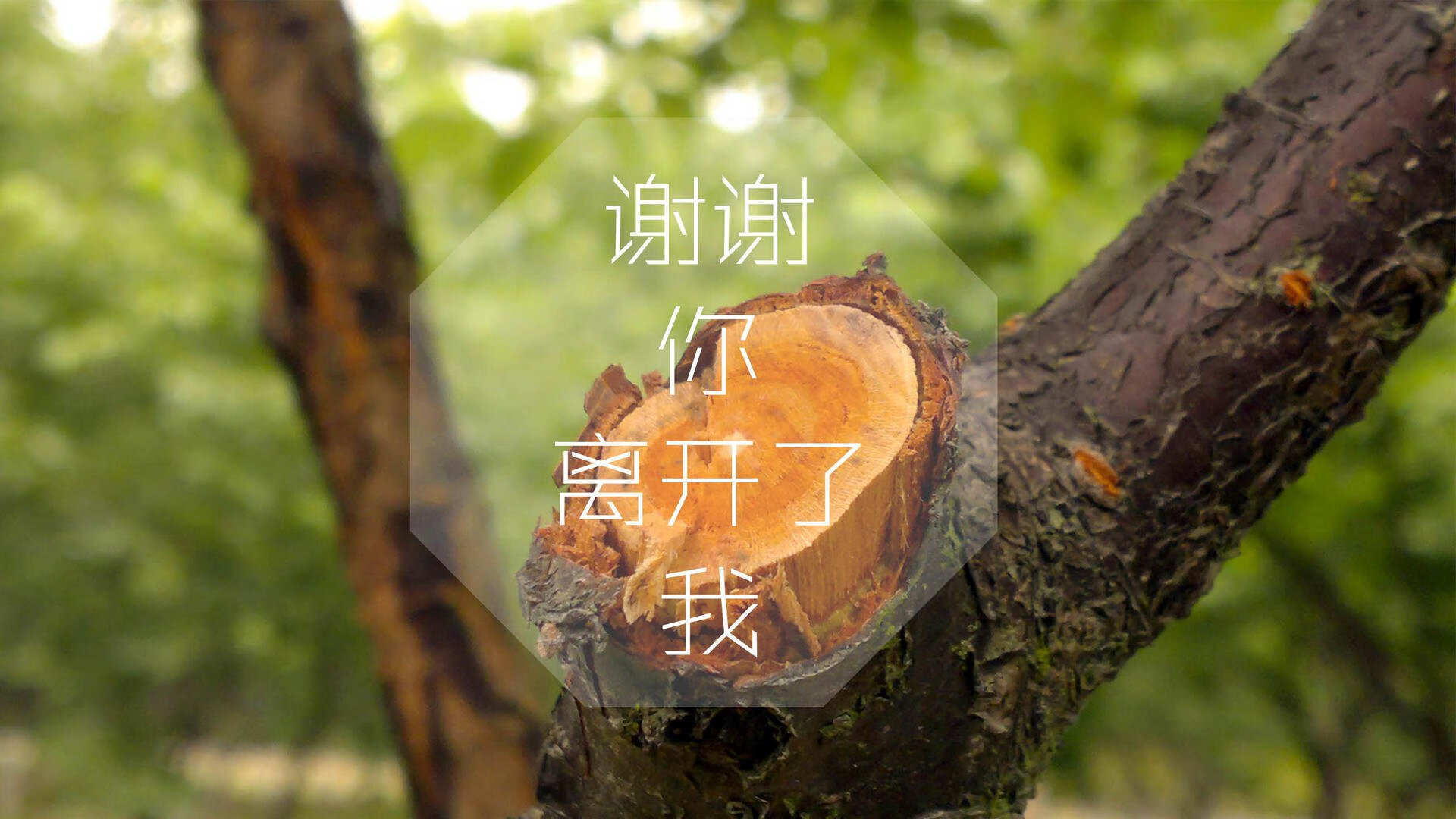 瑞典乒乓球队未来：通过心理训练和体能提升全方位备战，瑞典著名乒乓球有哪些选手