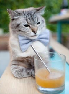 中国足球青训教练员培训项目增设实战课程,中国足球青训人才