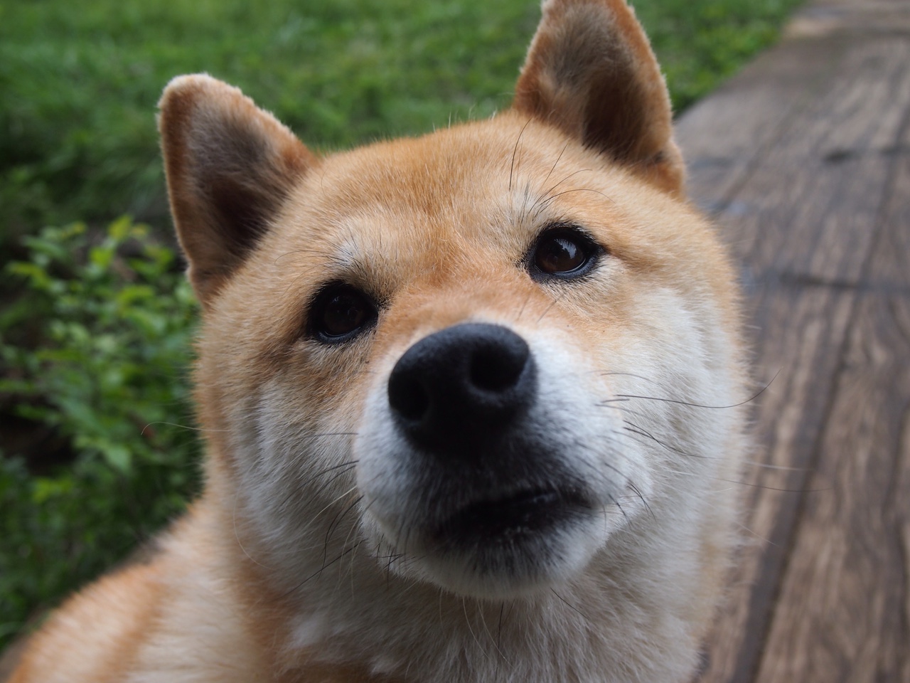 熊猫体育官网-女子足球国际赛事逐步升温，吸引大量关注与投资，女子足球比赛时间是多少