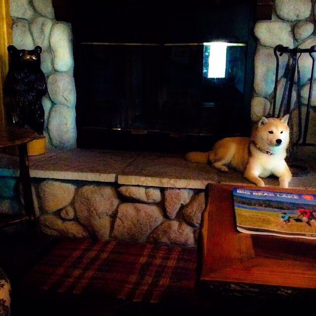 英超球队的财务管理新模式，英超俱乐部如何盈利_英超俱乐部≠摇钱树