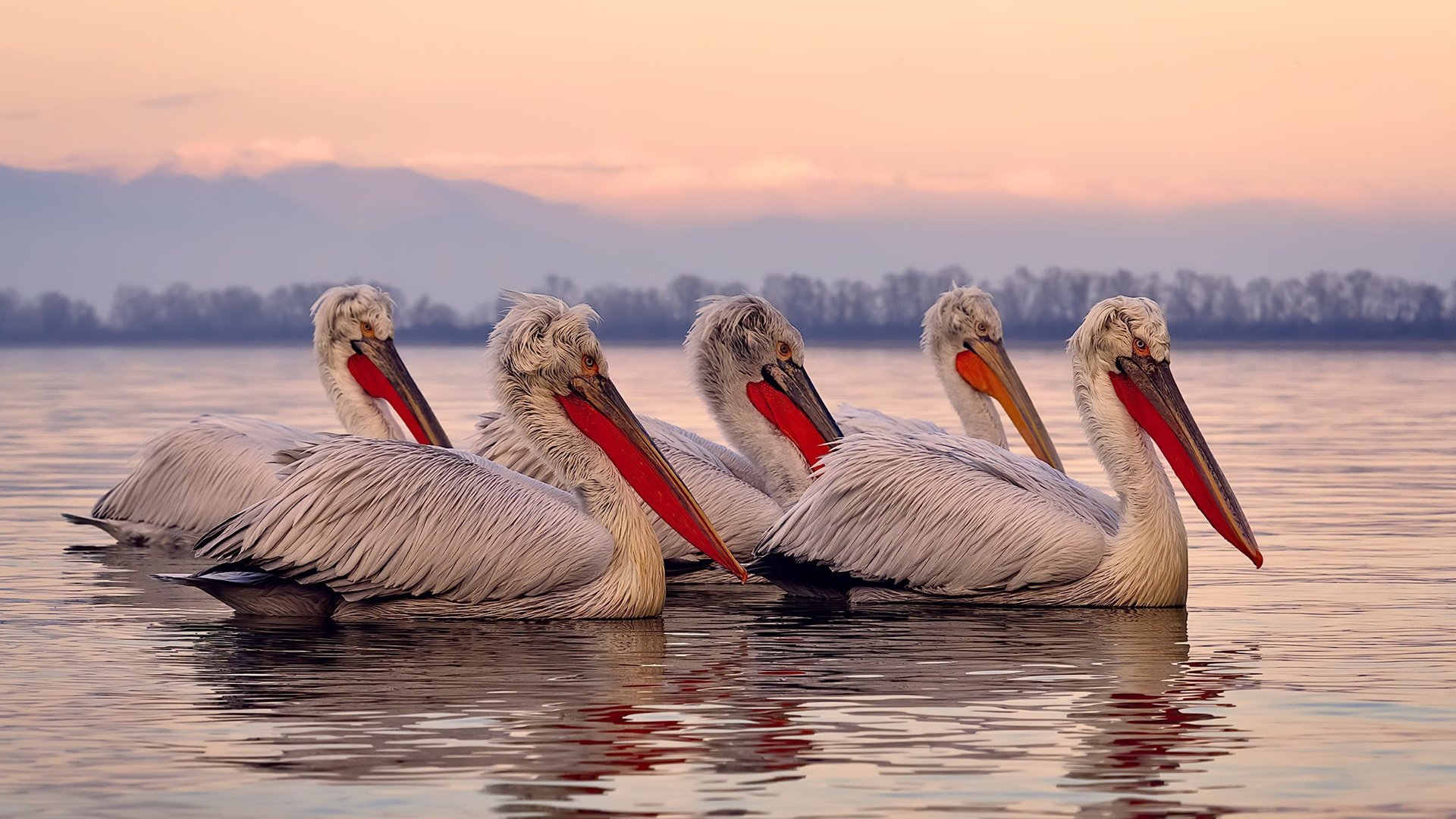 青少年足球教练员“双师型”培养体系全面铺开